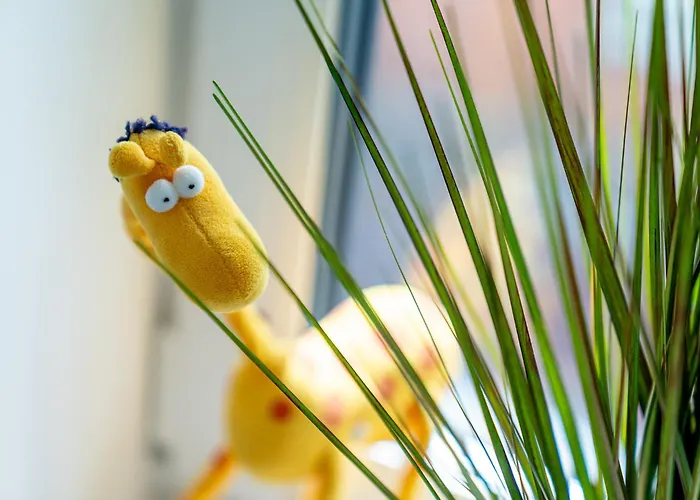 Vakantiehuis Bi De Kark *